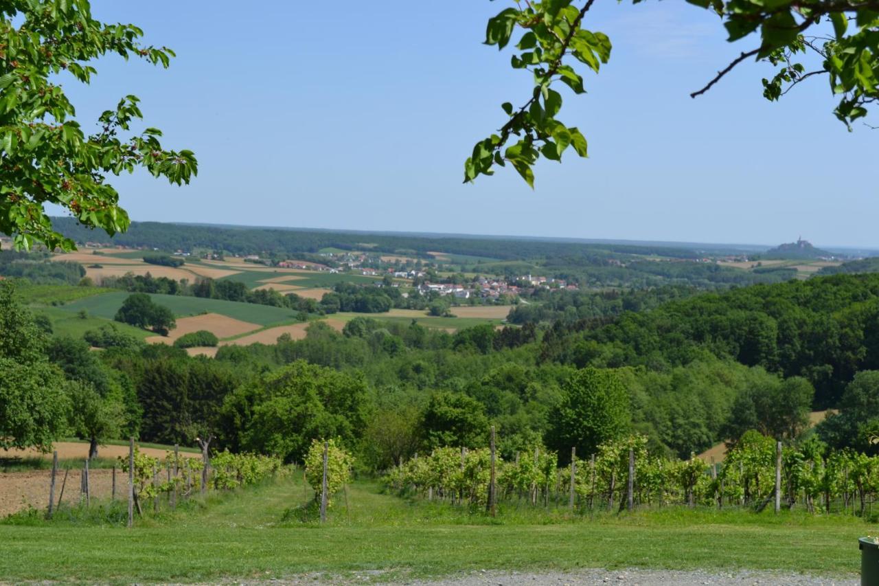 Gerersdorf bei Güssing Ferienwohnung Gerersdorf מראה חיצוני תמונה