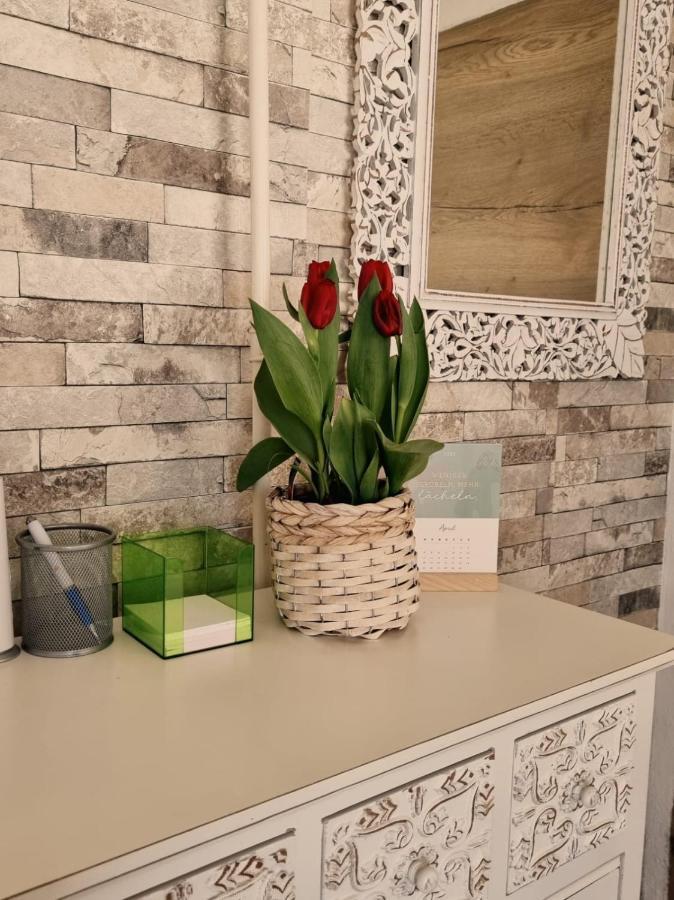 Gerersdorf bei Güssing Ferienwohnung Gerersdorf מראה חיצוני תמונה